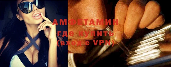 хмурый Алексин