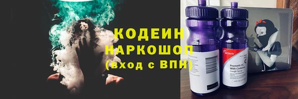 хмурый Алексин