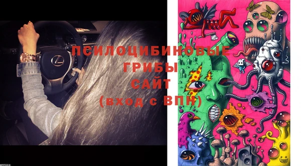хмурый Алексин