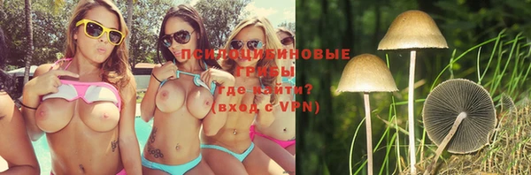 ГАЛЛЮЦИНОГЕННЫЕ ГРИБЫ Покачи