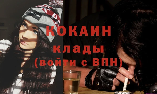 хмурый Алексин