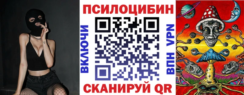ссылка на мегу вход  Крымск  Галлюциногенные грибы Psilocybe 